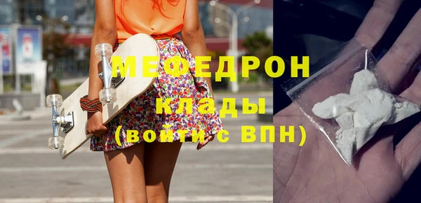 шишки Белокуриха